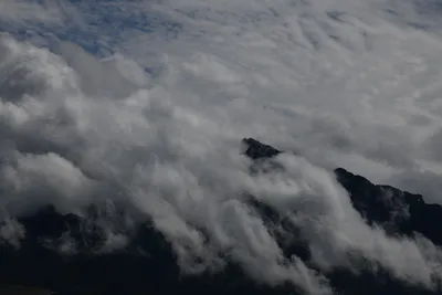 DSC_6309 (Large).JPG